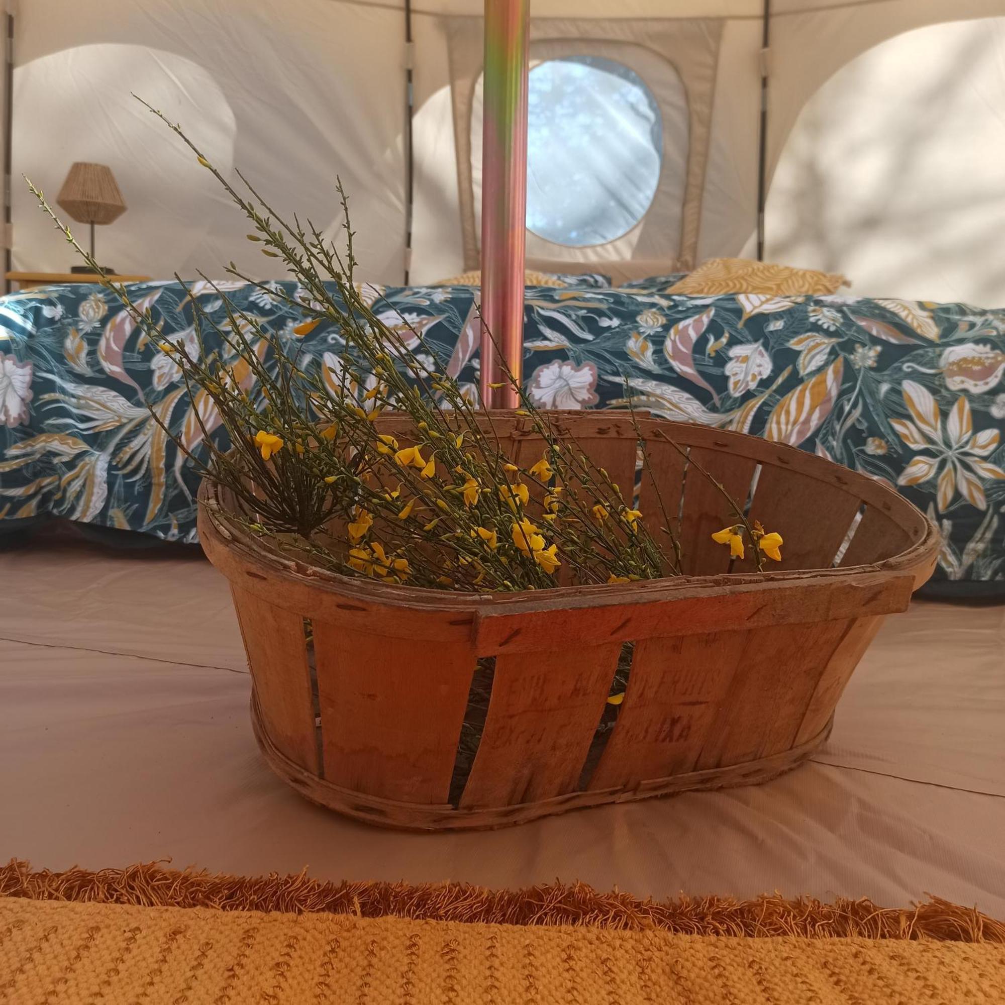 Hotel Eco Ceiba à Busque Extérieur photo